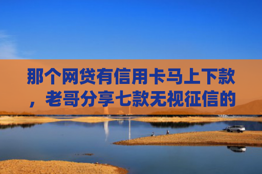 那个网贷有信用卡马上下款，老哥分享七款无视征信的网贷必下款app