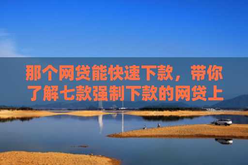 那个网贷能快速下款，带你了解七款强制下款的网贷上征信嘛