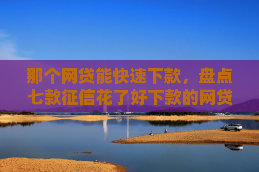 那个网贷能快速下款，盘点七款征信花了好下款的网贷吗