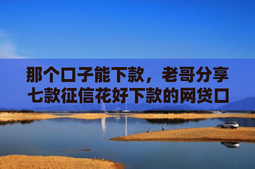 那个口子能下款，老哥分享七款征信花好下款的网贷口子
