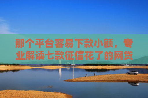 那个平台容易下款小额，专业解读七款征信花了的网贷能下款吗