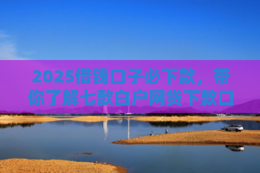 2025借钱口子必下款，带你了解七款白户网贷下款口子