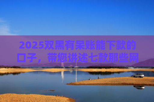 2025双黑有呆账能下款的口子，带您讲述七款那些网贷黑口子好下款