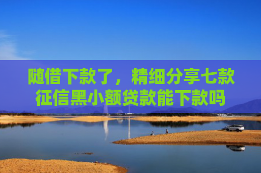 随借下款了，精细分享七款征信黑小额贷款能下款吗
