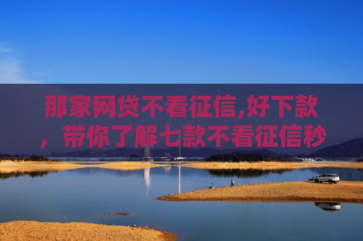 那家网贷不看征信,好下款，带你了解七款不看征信秒下款的网贷6