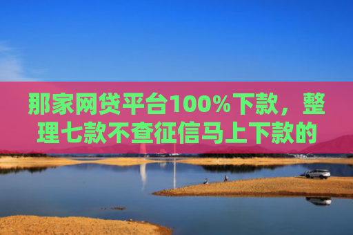那家网贷平台100%下款，整理七款不查征信马上下款的网贷