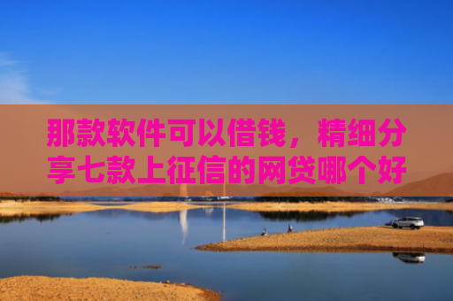那款软件可以借钱，精细分享七款上征信的网贷哪个好下款