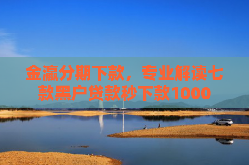 金瀛分期下款，专业解读七款黑户贷款秒下款1000