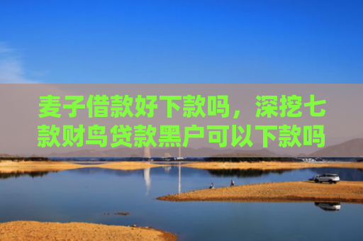 麦子借款好下款吗，深挖七款财鸟贷款黑户可以下款吗