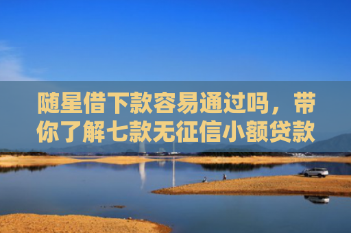 随星借下款容易通过吗，带你了解七款无征信小额贷款能下款吗