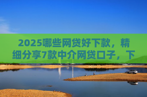 2025哪些网贷好下款，精细分享7款中介网贷口子，下款高