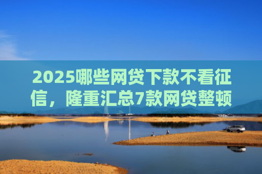 2025哪些网贷下款不看征信，隆重汇总7款网贷整顿后下款口子